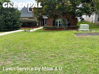 Grass Cut nearby Tallahassee, FL, 