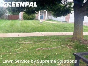 Lawn Care nearby Bolingbrook, IL, 