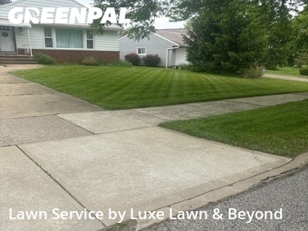 Lawn Cut nearby Warrensville Heights, OH, 