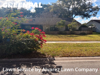 Yard Mowingin Altamonte Springs,32701,Lawn Cut by Alvarez Lawn Company, work completed in Feb , 2026