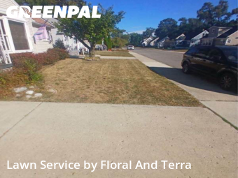 Yard Cutting nearby Ferndale, MI, 