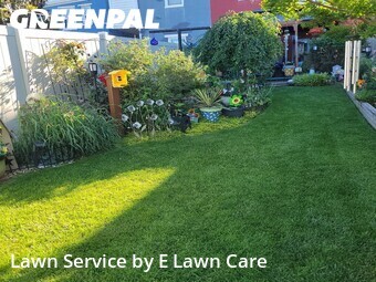 Grass Cutting nearby Frederick, MD, 