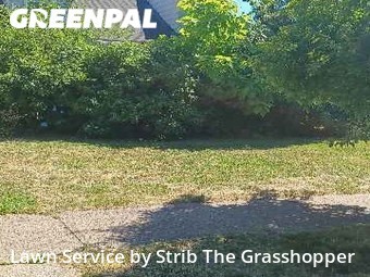 Yard Cutting nearby Cleveland, OH, 