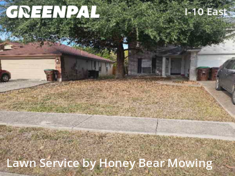 Grass Cutin Converse,78109,Grass Cut by Honey Bear Mowing, work completed in Dec , 2025