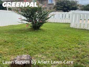 Lawn Mowing nearby Cedar Park, TX, 