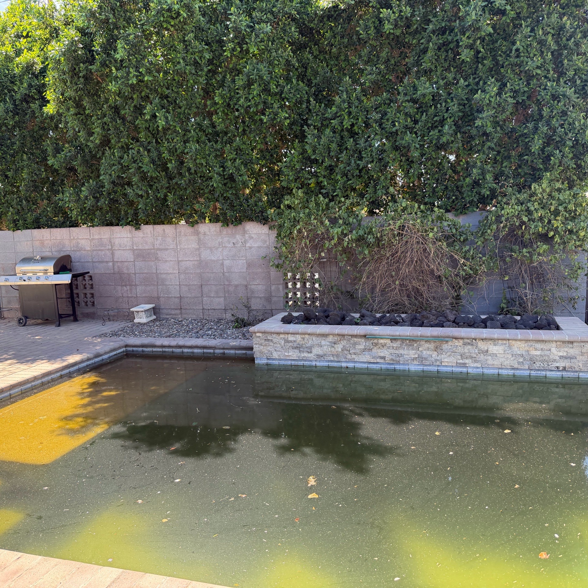 Landscape Design In Phoenix,85008,Landscaping Services by Chris Arizona Llc, work completed in Apr , 2026