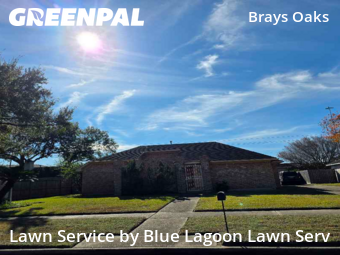 Yard Mowingin Houston,77031,Lawn Care Service by Blue Lagoon Lawn Serv, work completed in Dec , 2025