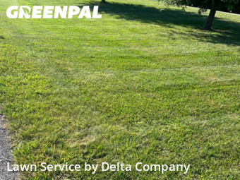 Lawn Service nearby Bowling Green, KY, 