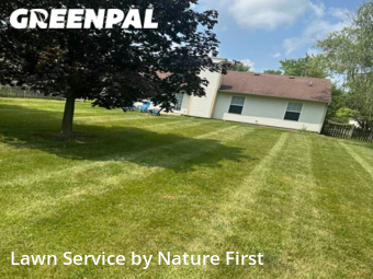 Grass Cut nearby Noblesville, IN, 