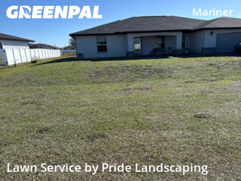 Grass Cut nearby Cape Coral, FL, 