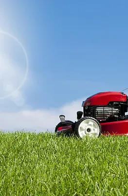 Jave Lawnmower Services Center Photo 6