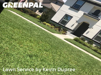 Grass Cut nearby Tampa, FL, 