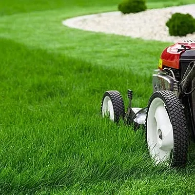 Arizona Lawn King Inc Photo 13