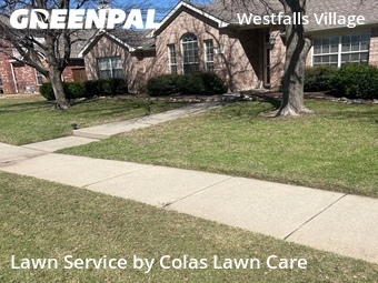 Yard Cutting nearby Frisco, TX, 