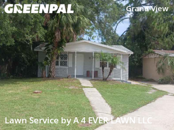 Grass Cutting nearby New Port Richey, FL, 