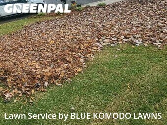 Lawn Mow nearby Alpharetta, GA, 