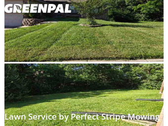 Yard Cutting nearby Springfield, MO, 