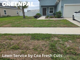 Grass Cut nearby Ocala, FL, 