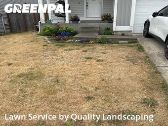 Lawn Cutting nearby Bremerton, WA, 