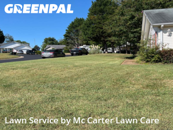 Grass Cutting nearby Greer, SC, 