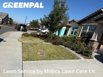 Lawn Mow nearby 罗斯维尔加利福尼亚美国, CA, 