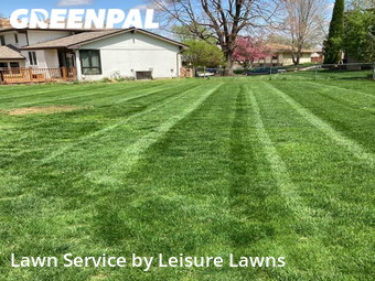 Lawn Care nearby Omaha, NE, 