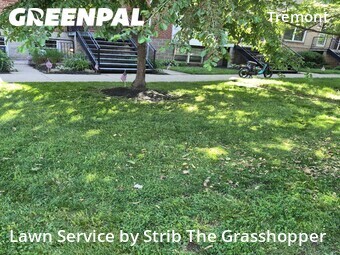 Grass Cutting nearby Cleveland, OH, 