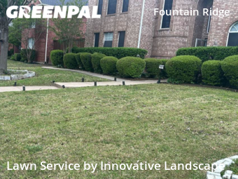Lawn Cut nearby Plano, TX, 
