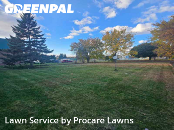 Landscaping Cleanup In Minneapolis,55428,Landscaping Renovation by Procare Lawns, work completed in Nov , 2025