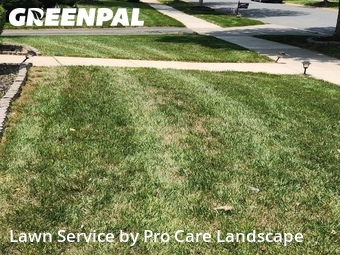 Lawn Care nearby Huntersville, NC, 