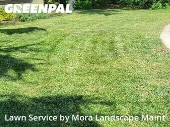 Lawn Service nearby Fresno, CA, 