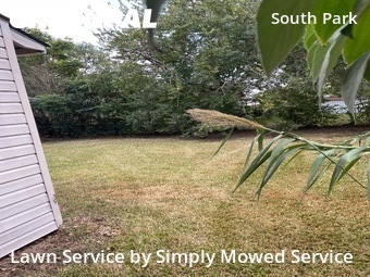 Lawn Cuttingin Houston,77033,Yard Mowing by Simply Mowed Service, work completed in Nov , 2025