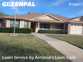 Affordable Landscaping In Dallas,75206,Landscapers by Antonio's Lawn Care, work completed in Feb , 2026