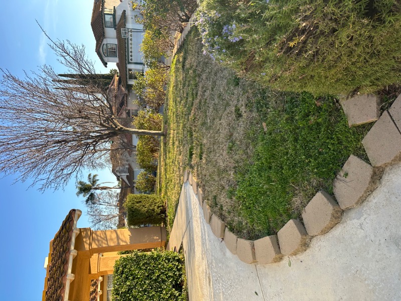 Lawn mowing work by Sunny Side Lawncare in Beaumont, CA