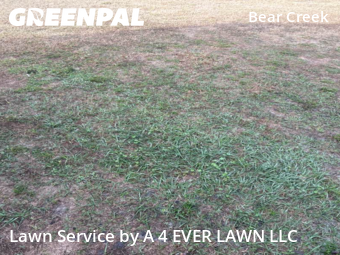 Grass Cut nearby New Port Richey, FL, 