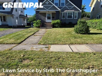 Lawn mowed in Cleveland Heights, 44118