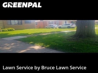 Lawn mowed in Westchester, 60154