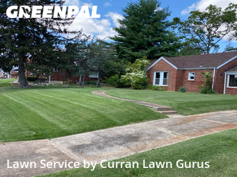 Yard Cutting nearby St. Louis, IL, 