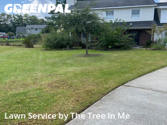 Grass Cut nearby Jacksonville, NC, 