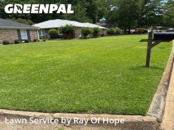 Grass Cutting nearby Tuscaloosa, AL, 
