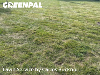 Lawn Service nearby Lee's Summit, MO, 