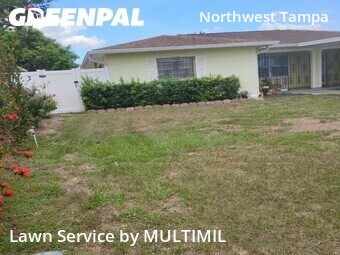 Grass Cut nearby Tampa, FL, 