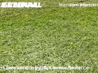 Lawn Maintenance nearby Houston, TX, 