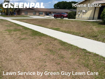 Grass Cut nearby Brandon, FL, 