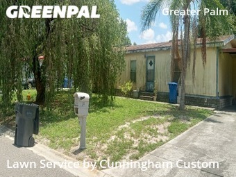 Lawn Cut nearby Tampa, FL, 