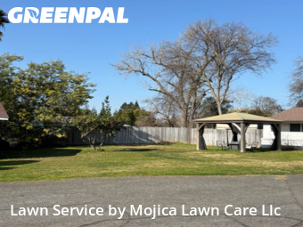 Work completed by local-lawn-and-landscape-maintenance-services-near-me-in-Carmichael-CA