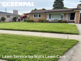 Grass Cut nearby Roseville, MI, 