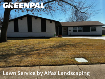 Lawn mowed in Irving, 75062