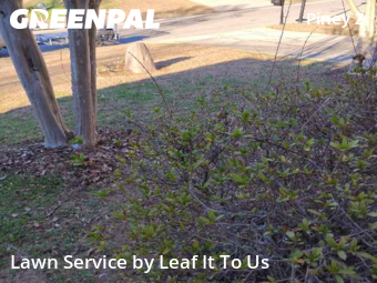 Lawn mowed in Tallahassee, 32311