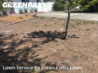 Landscaping Cleanup In St. Petersburg,33703,Landscaping by Clean Cutts Lawn , work completed in Jul , 2026